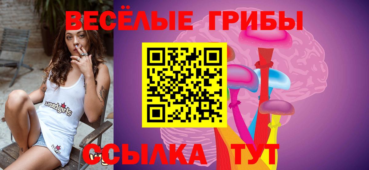 даркнет сайт  Вход с VPN  Майкоп  Псилоцибиновые грибы MAGIC MUSHROOMS 